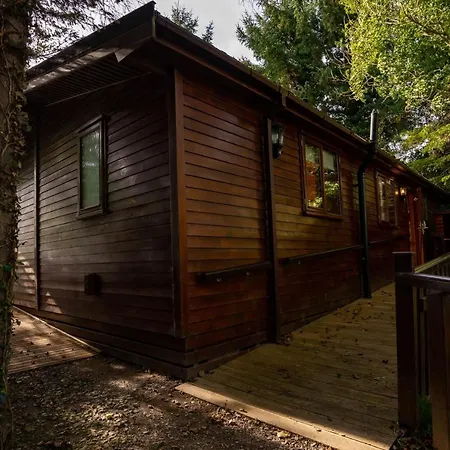 Dom wakacyjny Buzzard With Hot-tub Carlisle (Cumbria)