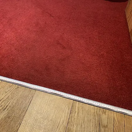 度假居 Buzzard With Hot-tub 卡莱尔