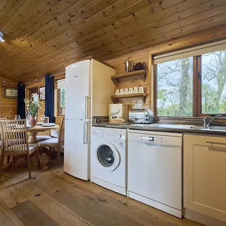 Buzzard With Hot-tub * 卡莱尔