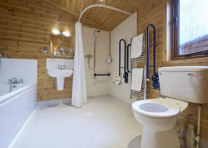 Buzzard With Hot-tub 卡莱尔