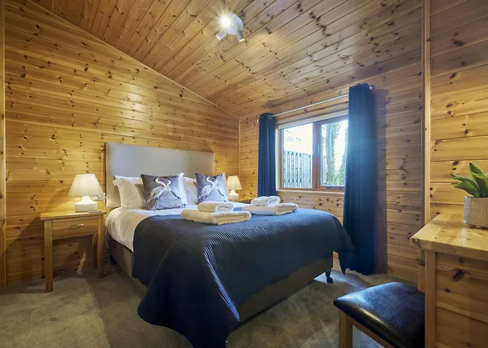 Buzzard With Hot-tub 卡莱尔