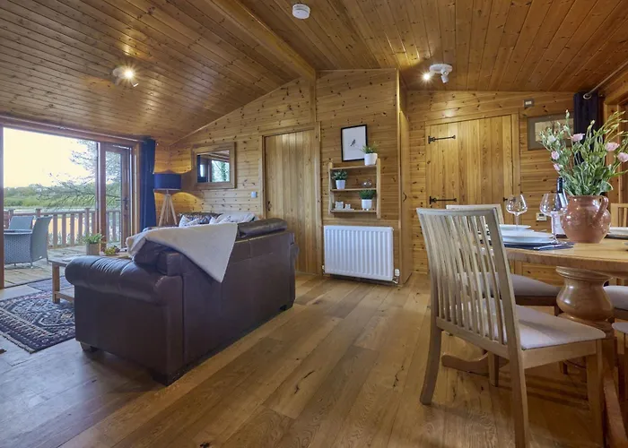 Buzzard With Hot-tub