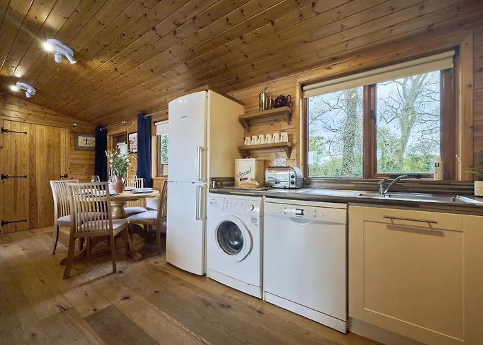 Buzzard With Hot-tub * 卡莱尔