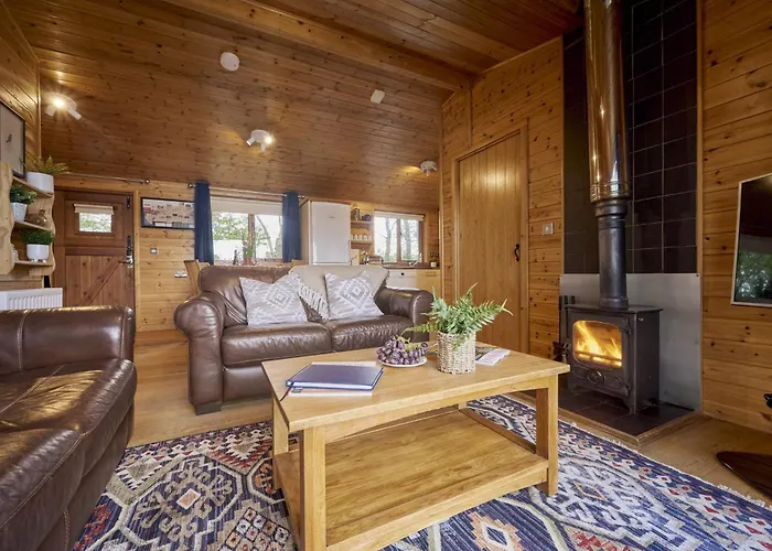 度假居 Buzzard With Hot-tub 卡莱尔