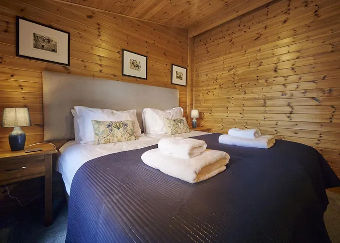 Buzzard With Hot-tub * 卡莱尔